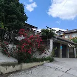 делфини 바르나