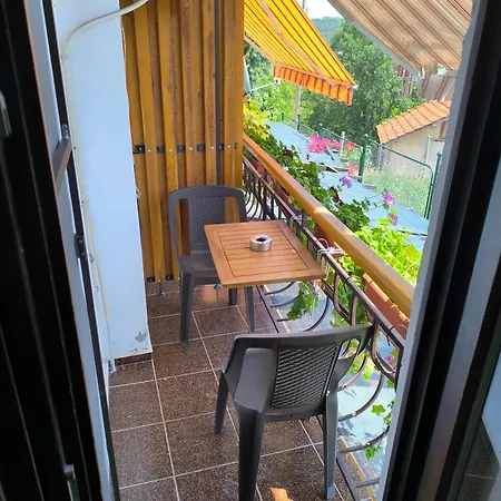 Bed & Breakfast делфини Varna