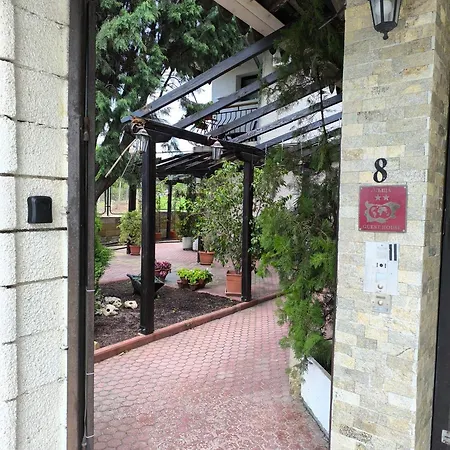 делфини Bed & Breakfast *