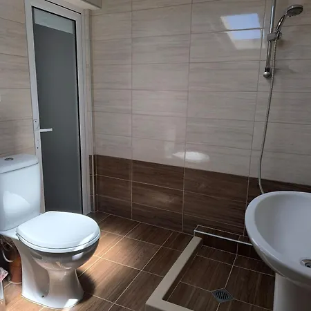 делфини * Warna