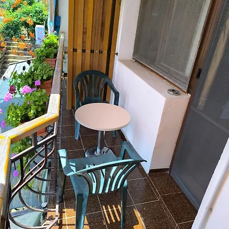 Bed & Breakfast делфини