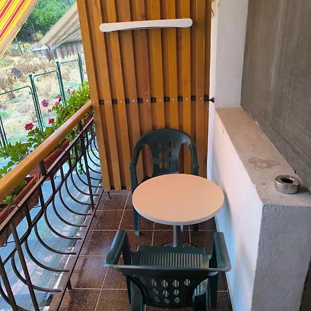 делфини * Warna