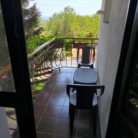 делфини Warna