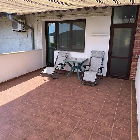 делфини * Warna