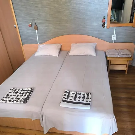 Bed & Breakfast делфини