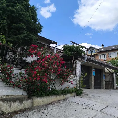 делфини Varna