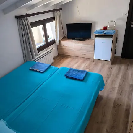 делфини Varna