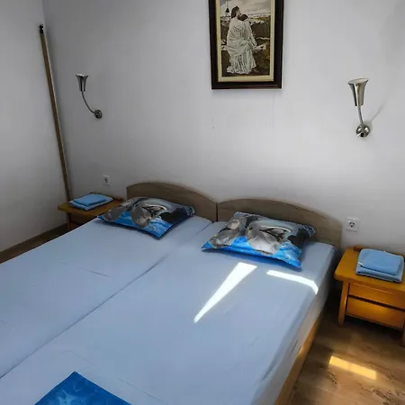 делфини Warna