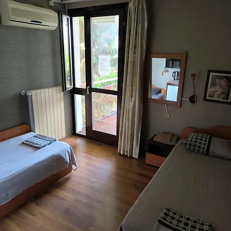 делфини * Varna