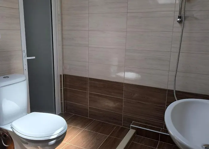 делфини * 瓦爾納