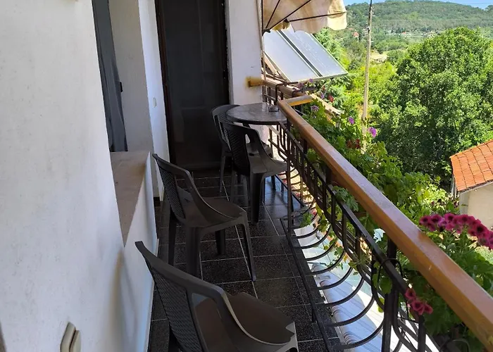 делфини 瓦爾納