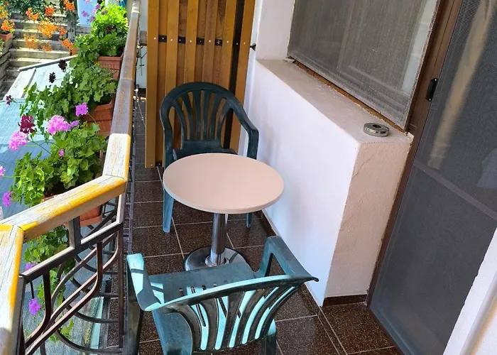 住宿加早餐酒店 делфини