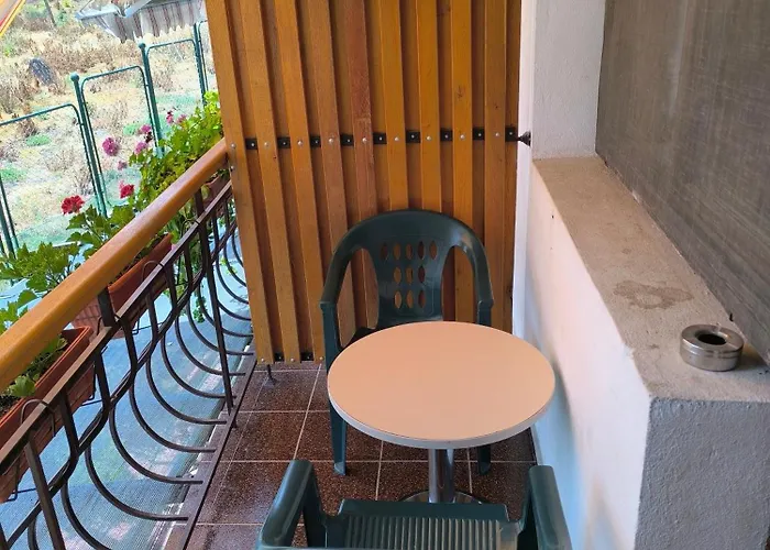 делфини * 瓦爾納