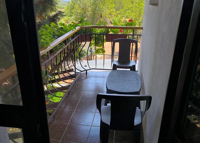 делфини 瓦爾納