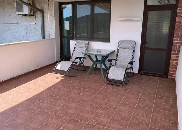 делфини * 瓦爾納