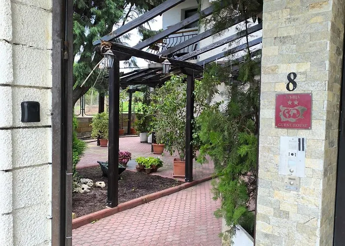 делфини 住宿加早餐酒店 *