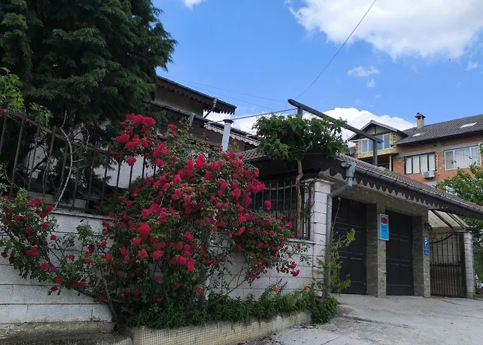 делфини 瓦爾納