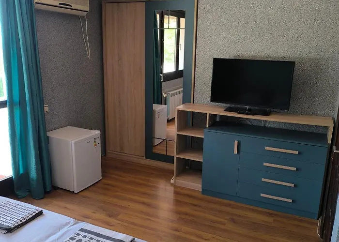 делфини 住宿加早餐酒店 *