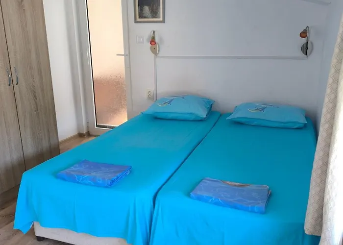 делфини 住宿加早餐酒店 瓦爾納