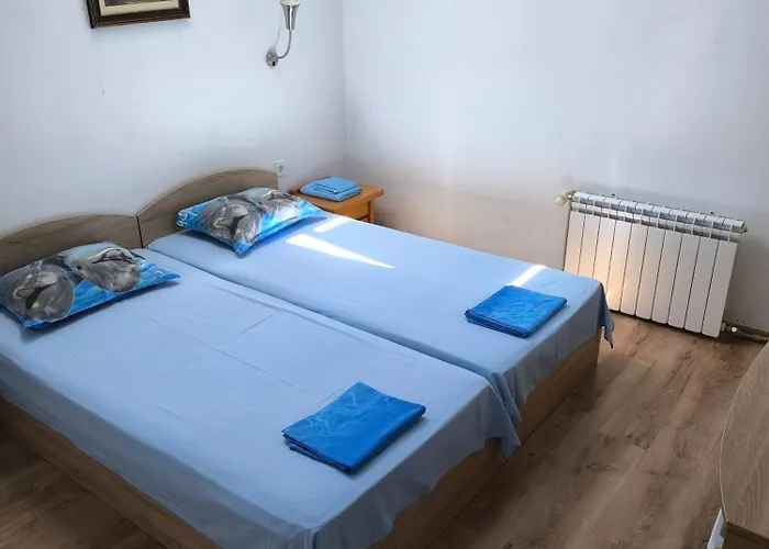 住宿加早餐酒店 делфини *