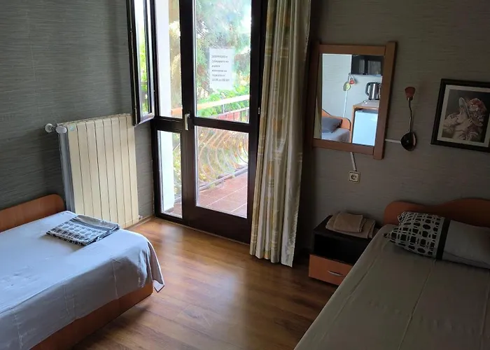 делфини * 瓦爾納